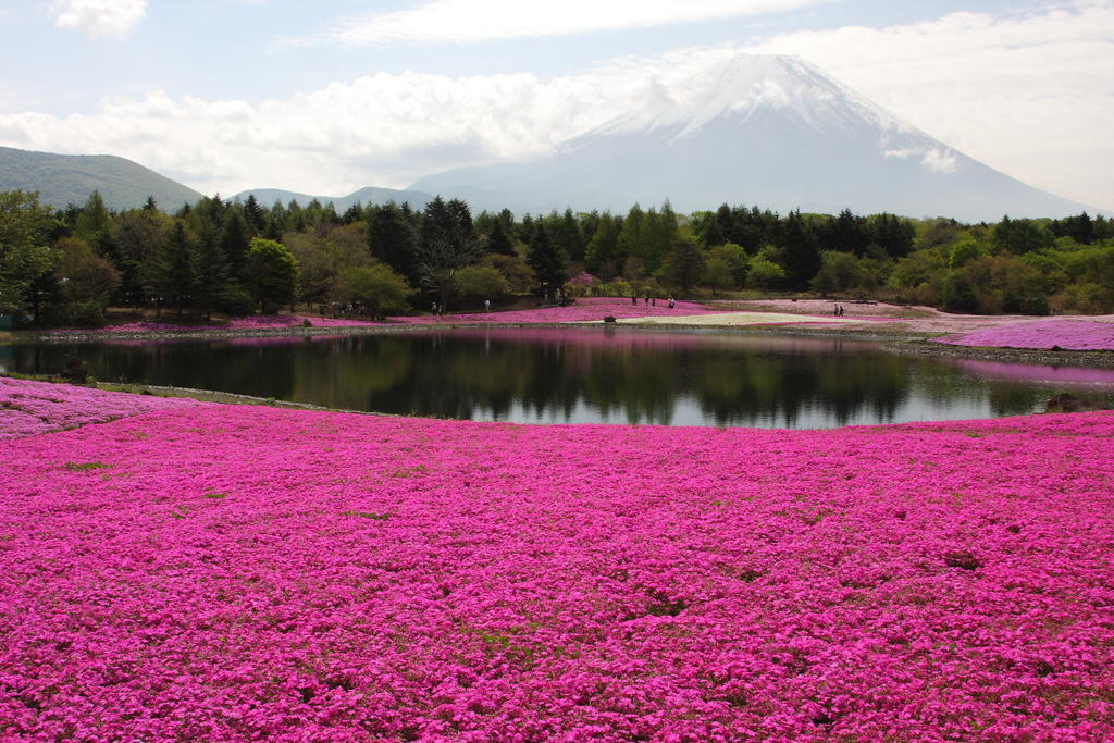 Gasthof Melange Fujikawaguchiko Dış mekan fotoğraf