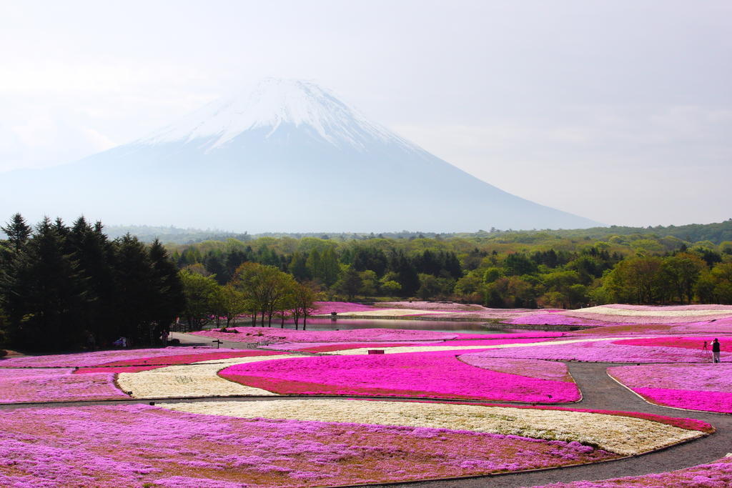 Gasthof Melange Fujikawaguchiko Dış mekan fotoğraf