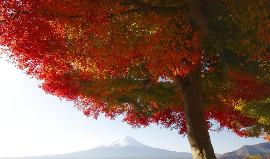 Gasthof Melange Fujikawaguchiko Dış mekan fotoğraf